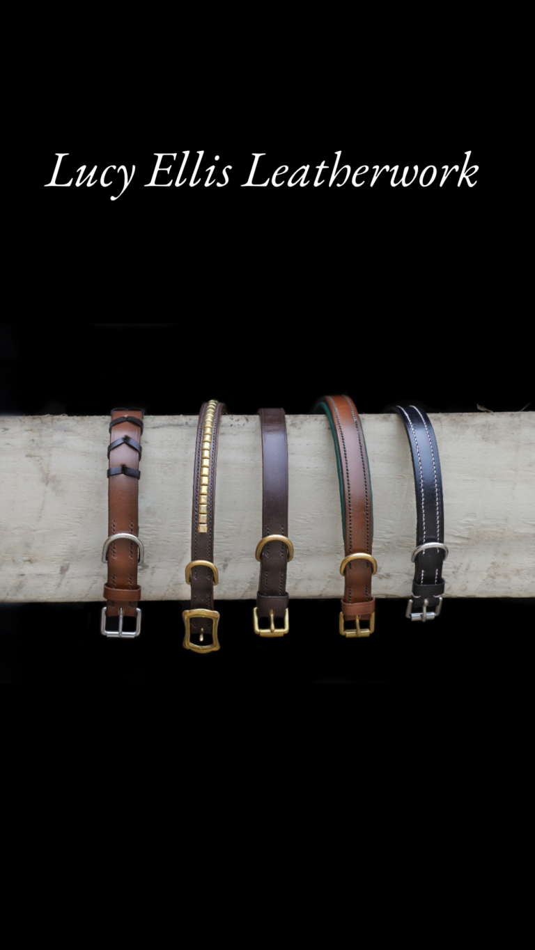 3D117CCD-FD60-4B4D-89BF-6B206E96C8CA