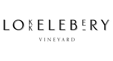 Lokkelebery Vineyard at Lockley Farm